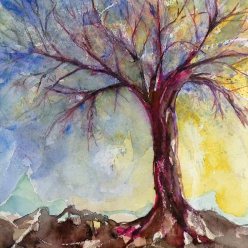 Baum mit roter Rinde